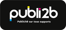 logo publi2b