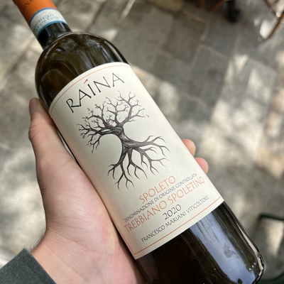 TREBBIANO SPOLETINO - RAÌNA image