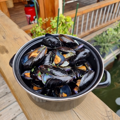 Moules marinières image