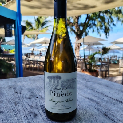 Verre de sauvignon pays d'oc  "chemin de la pinède " 2023 image