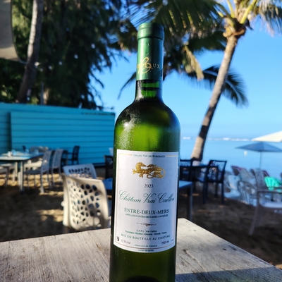 Verre de sauvignon blanc entre deux mers château vrai caillou 2023 image