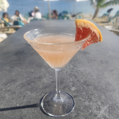 Paloma image