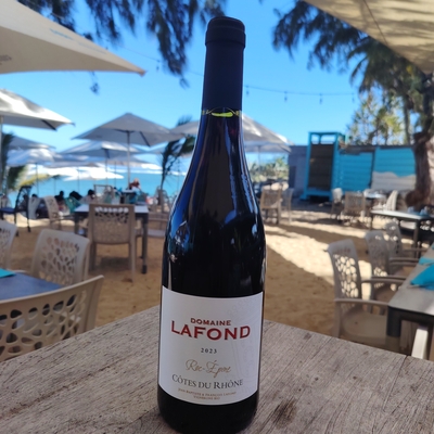 Verre de côtes du rhones domaine lafond  2023 image