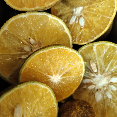 Jus de tangor peï pressée minute image