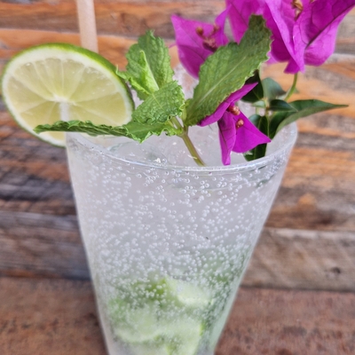 VIRGIN MOJITO image