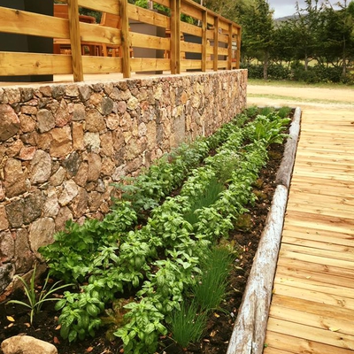 Notre Potager image
