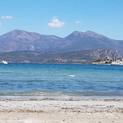 LA ROYA image