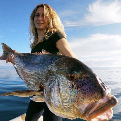 RaphFishing image