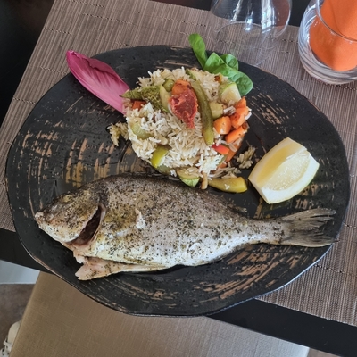 Dorade image