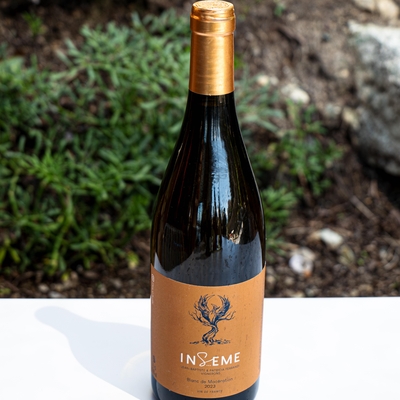 INSEME Domaine E Suale image