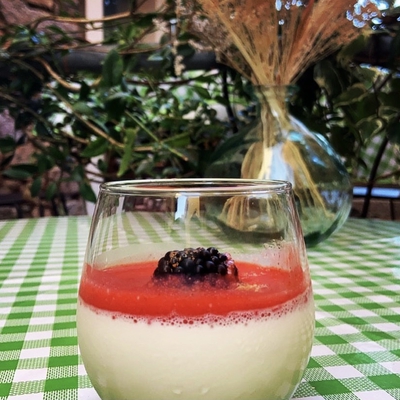 Panacotta au chocolat ou fruits rouges image