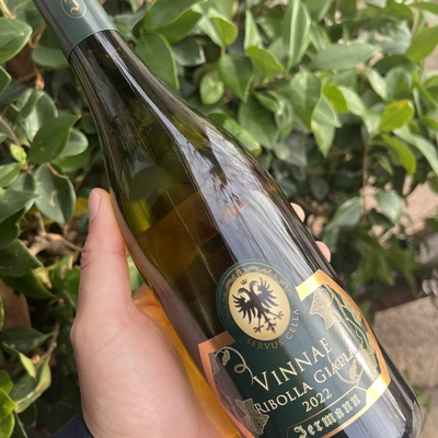 VINNAE - JERMANN image