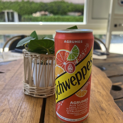 Schweppes agrumes image
