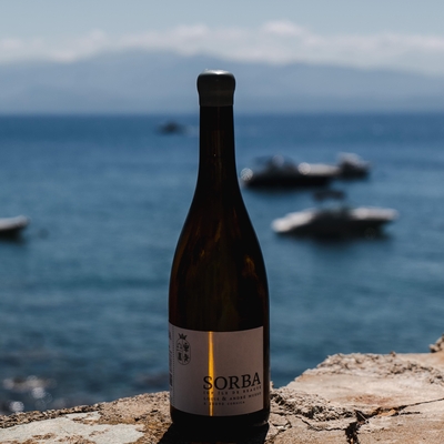 Domaine de la Sorba « Fior di Malavsasia Blanc 2023» image