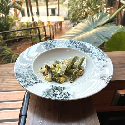 Asperges mimosa image