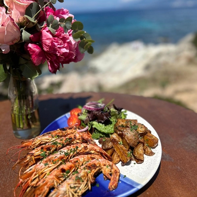 gambas image