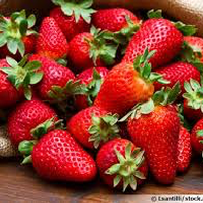 fraise melba image