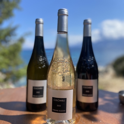 Clos Culombu image