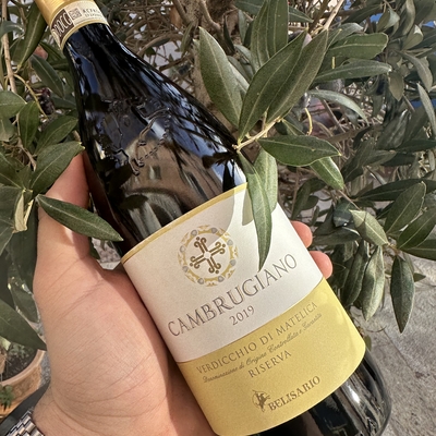 Verdicchio di Matelica Riserva, Cambrugiano - Belisario image