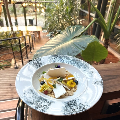 Dessert aux agrumes image