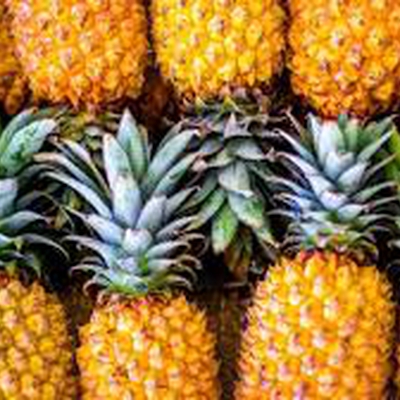 ananas melba image