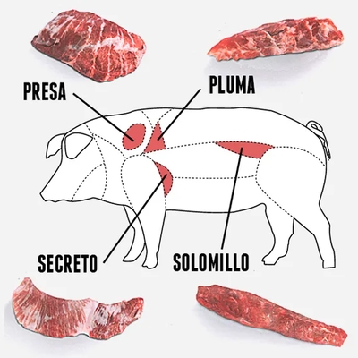 Tagliata de pluma de porc Iberique Belotta image