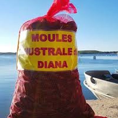 Provenance des Moules image