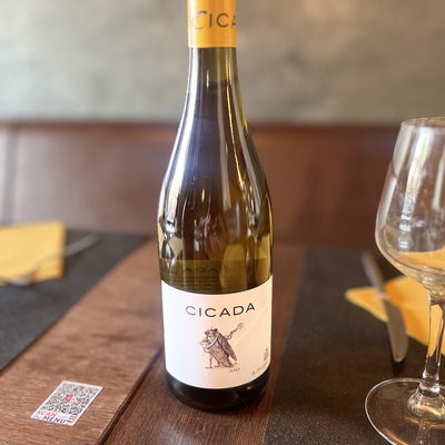 Cicada  blanc image