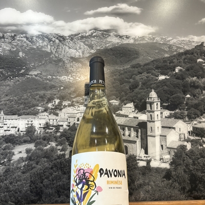 Pivonia de Petra bianca image