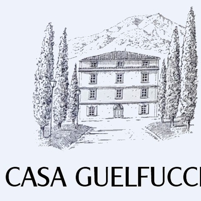 Casa Guelfucci image