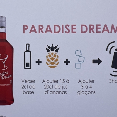 Paradise Dream image