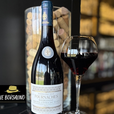 Bourgogne - Hautes-Côtes de Nuits - ABHNC - Vin délicat avec beaucoup de fruits, robe pourpre aux reflets violines image