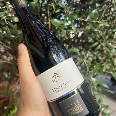 Pinot nero - Peter Zemmer image