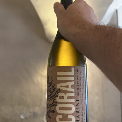Clos marinu corail image