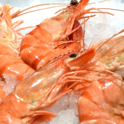 Bouquet de crevettes roses image