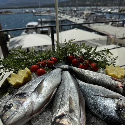 La pêche du jour : Voir ardoise image