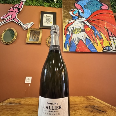 Lallier Ouvrage image