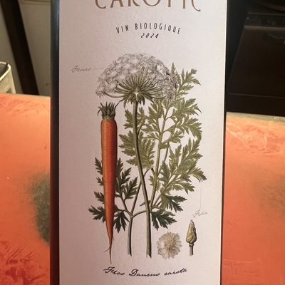 Fleur de Carotte biologique image