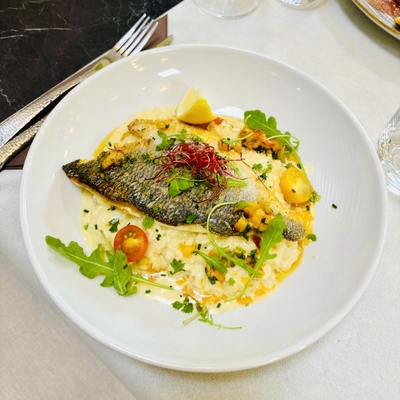 Poulpe grillée sauce vierge image