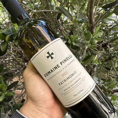 PATRIMONIO - Domaine Pinelli image