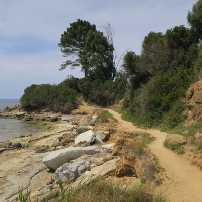 PLAGE D'OLZO image