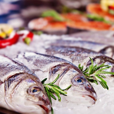 Nos Poissons image