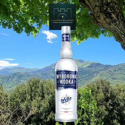 Vodka Wyborowa image