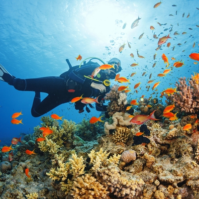Plongée sous-marine image