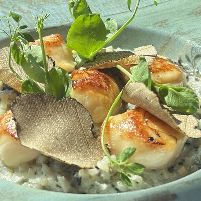 RISOTTO DE CÉLERI RAVE A LA TRUFFE DE BOURGOGNE & NOIX DE ST JACQUES image