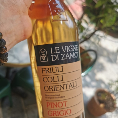 Friuli Colli Orientali - Pinot Grigio, Le vigne di Zamo’ image