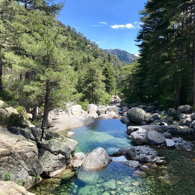 La Cascade des anglais dans la forêt de Vizzavona image