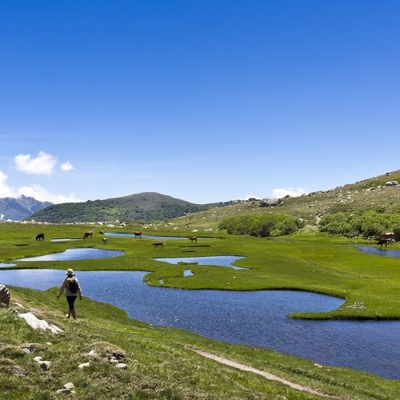Randonnée au Plateau du Cuscionu image