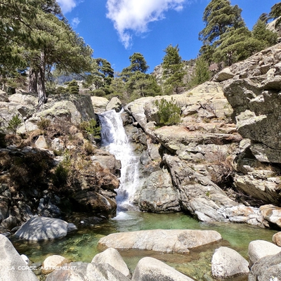 Balade familiale image