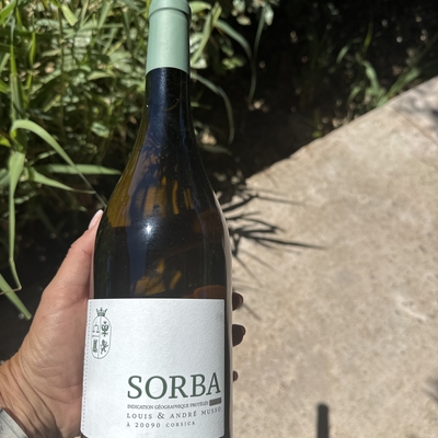 Sorba image